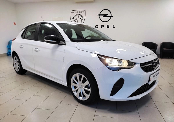 Opel Corsa cena 63900 przebieg: 18831, rok produkcji 2023 z Łódź małe 232
